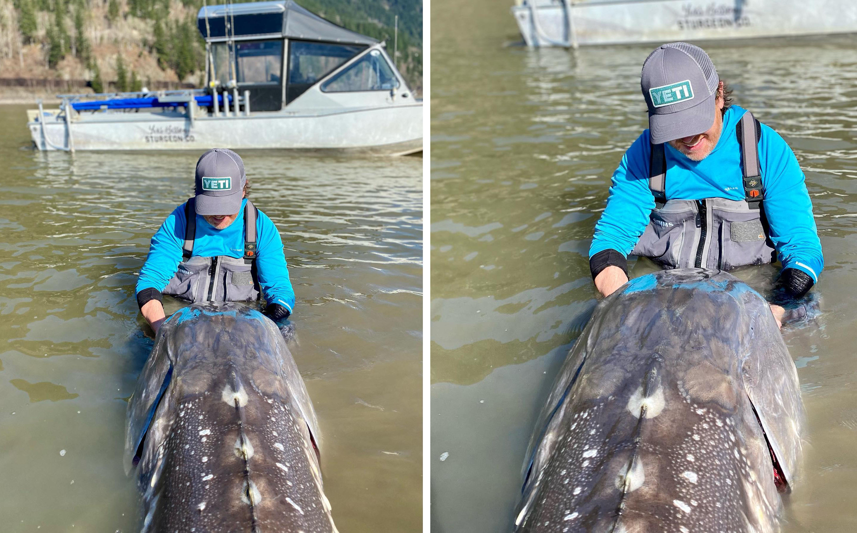 9-Year-Old Boy Reels in 600-Pound Sturgeon and There's Video to Prove It -  ABC News