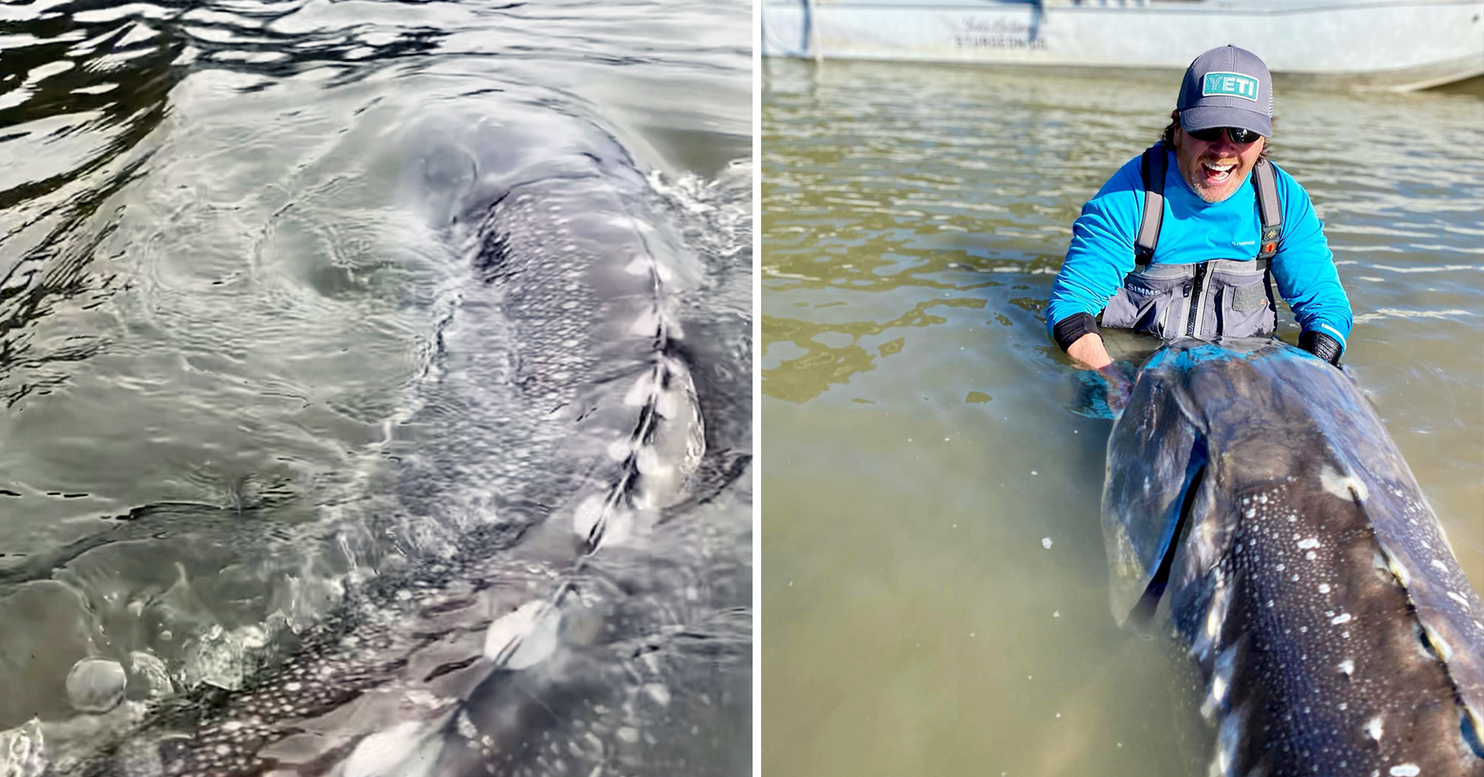 Angler ‘Blown Away’ After Reeling In 10Foot, 7Inch ‘Monster’ Sturgeon Weighing 600 Pounds in