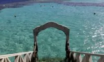 2nd Woman Killed in Shark Attack in Egypt’s Red Sea