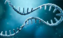 Is There a Correlation Between mRNA Technology and Expansive Genetic Identities?