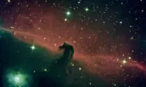 Amateur Astronomy Gains Fans Who Bond Through Their Shared Love of the Starry Night