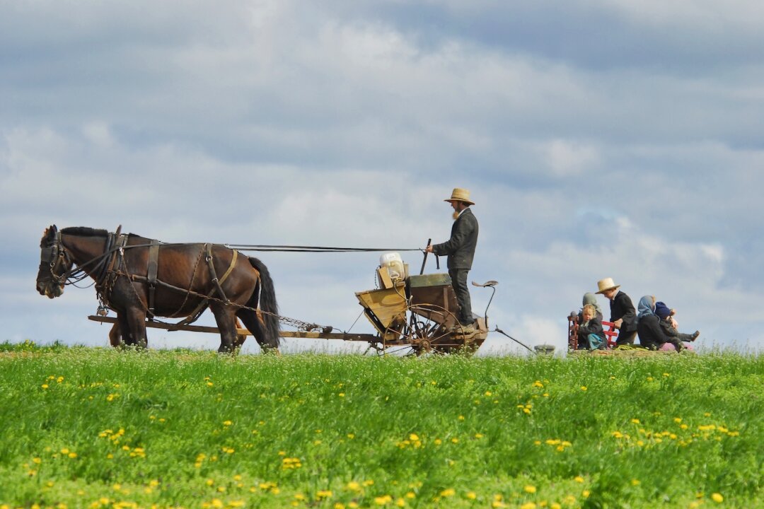 Amish communities are marked by a quality of life most people can only dream of, and it has nothing to do with money, material goods, or professional success. (Greg Kelton/Shutterstock)
