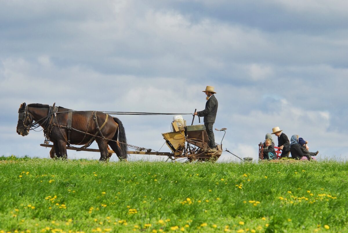 Amish communities are marked by a quality of life most people can only dream of, and it has nothing to do with money, material goods, or professional success. (Greg Kelton/Shutterstock)