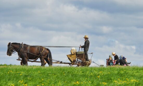 6 Things I've Learned From the Amish