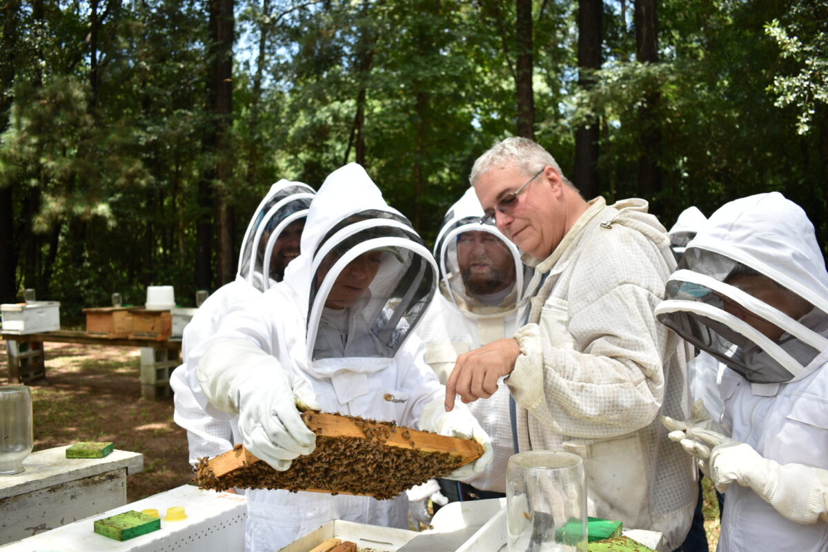 Hives for Heroes aims to make a difference in veterans' lives through beekeeping, purpose, and social connections. (Courtesy of Hives for Heroes)