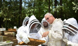 Hives for Heroes Provides Connection and Purpose for Vets Through Beekeeping