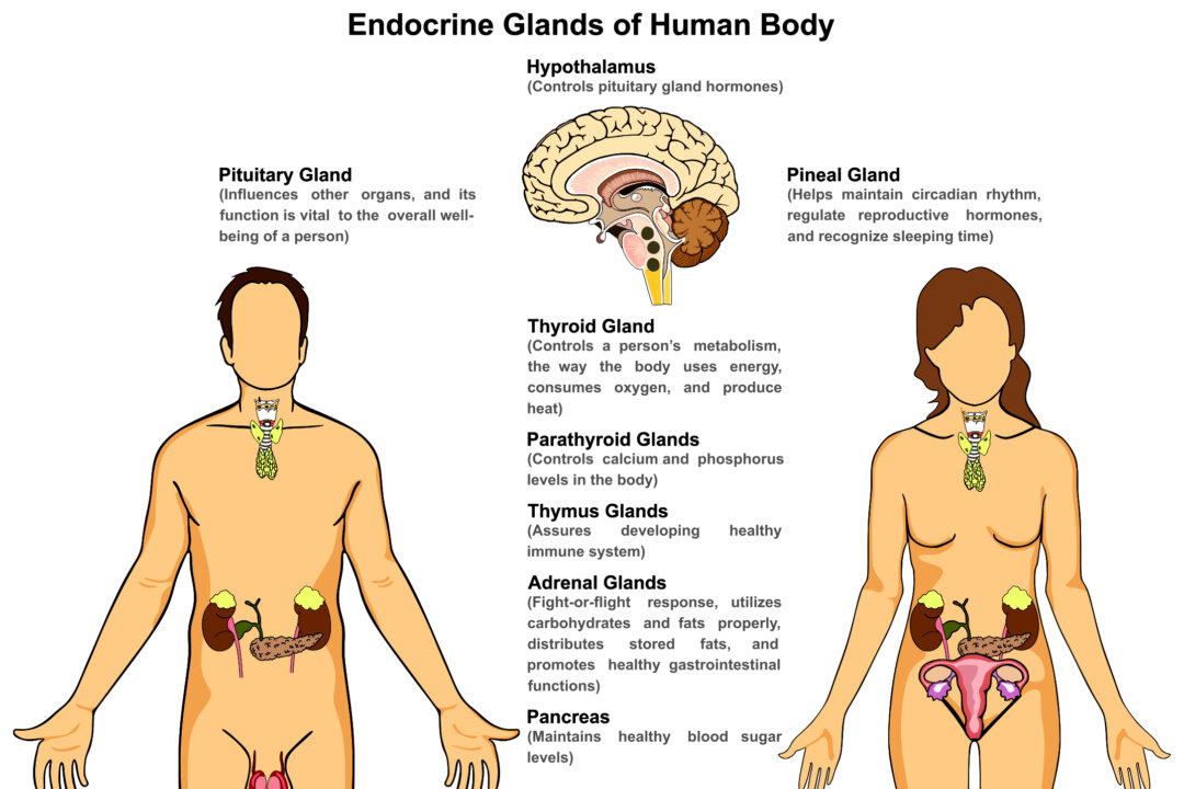 The 12 Worst Endocrine Disruptors and How to Avoid Them