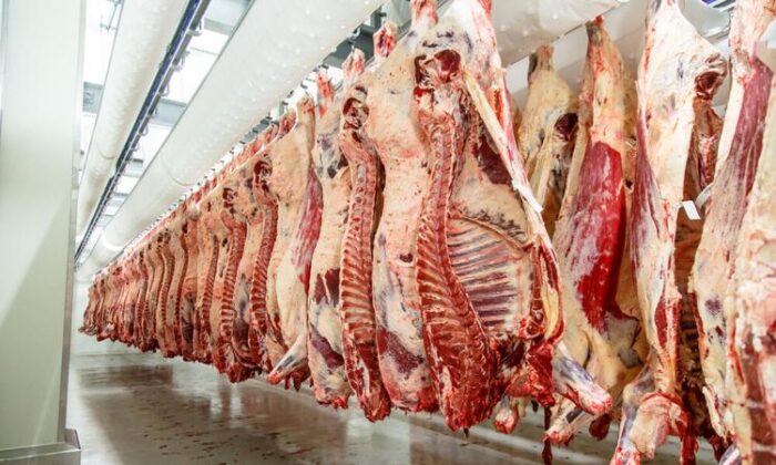 Carcasses of beef hang at a meat processing plant. (Milanchikov Sergey, Shutterstock via The Center Square)