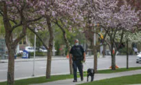 Alberta Reports Surge in Deaths Due to ‘Unknown Causes’ in 2021