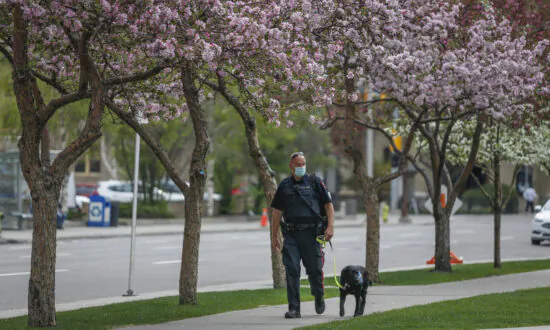 Alberta Reports Surge in Deaths Due to ‘Unknown Causes’ in 2021