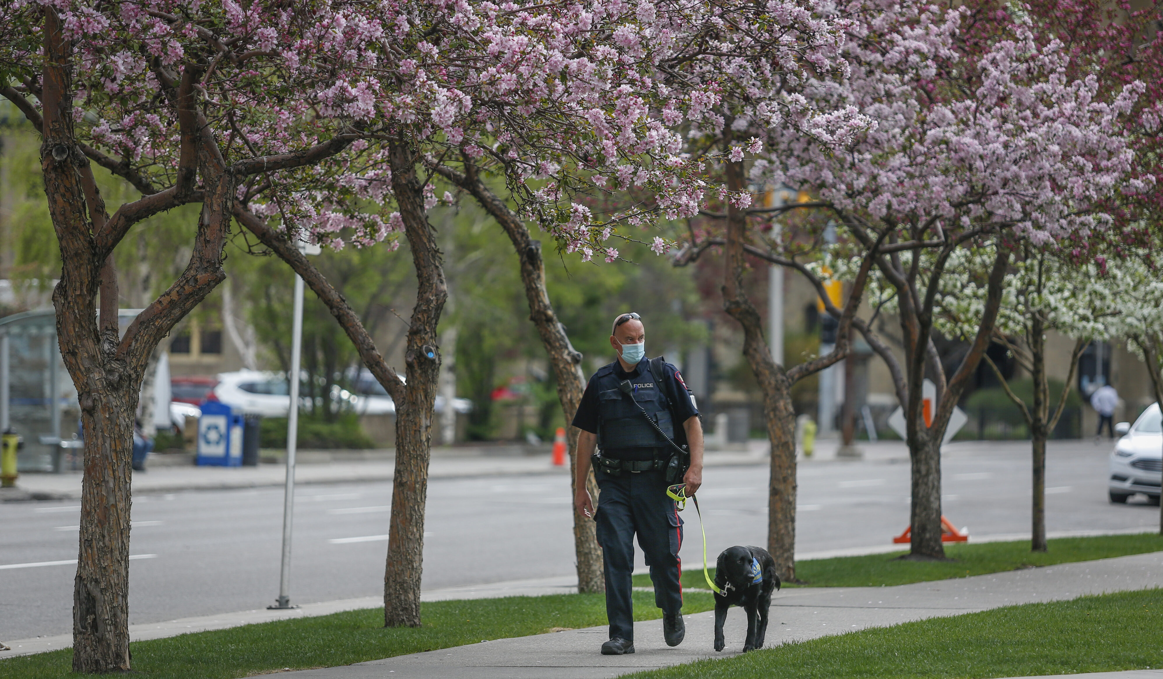 Alberta Reports Surge in Deaths Due to 'Unknown Causes' in 2021 - Vimarsana News