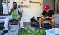 Tampa Tradition of Baking Cuban Bread With Palmetto Leaves at Risk