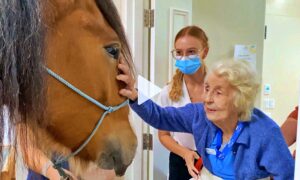 Two Horses Bring Joy to Seniors in Nursing Home