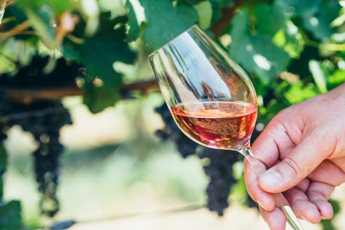 Some pink wines today are so dry that they taste slightly more red than white. (Hitdelight/Shutterstock)