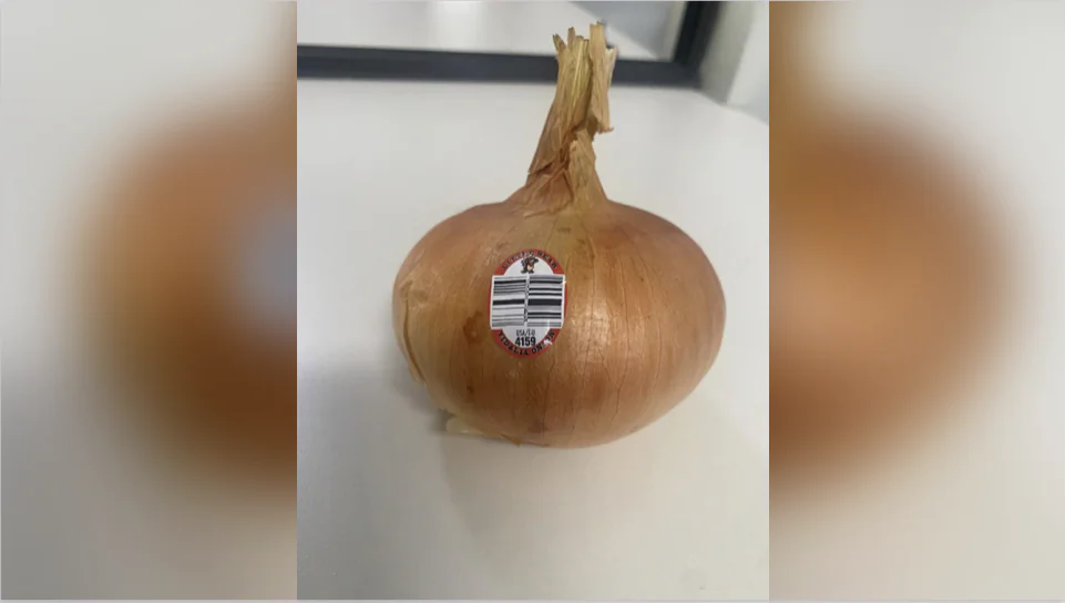 A photo of a Vidalia onion subject to a recall. (FDA)