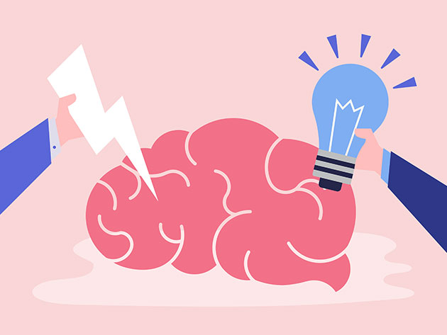Rewire Your Brain with This $13 Expert-Led Neuroplasticity Training - Vimarsana News