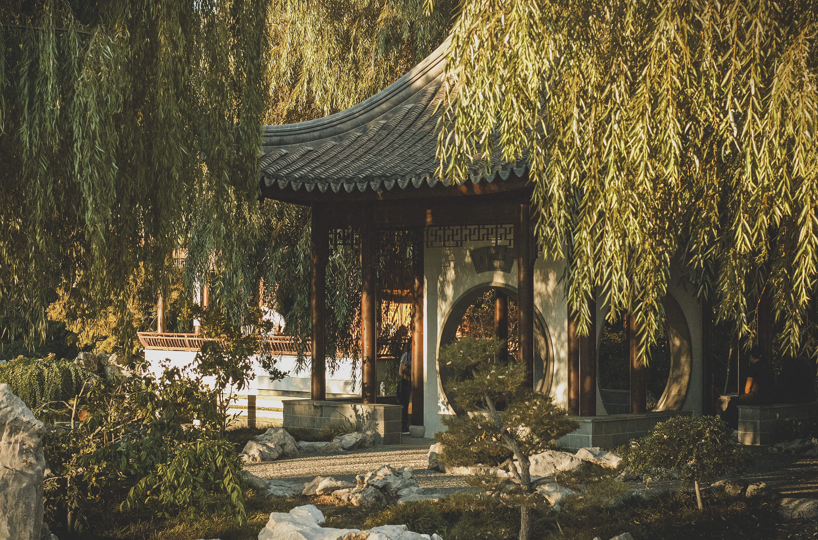 Huntington Library's Chinese Garden: A Tour of California's Best Hidden Botanical and Architectural Masterpiece - Vimarsana News