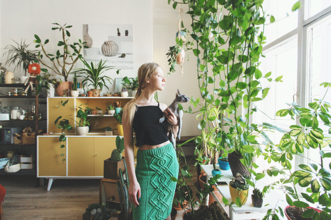 Feng shui and other guiding principles can help you maximize the benefits you get from your living space.(Amilao/Shutterstock)
