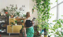 Simple Feng Shui Secrets for Your Home
