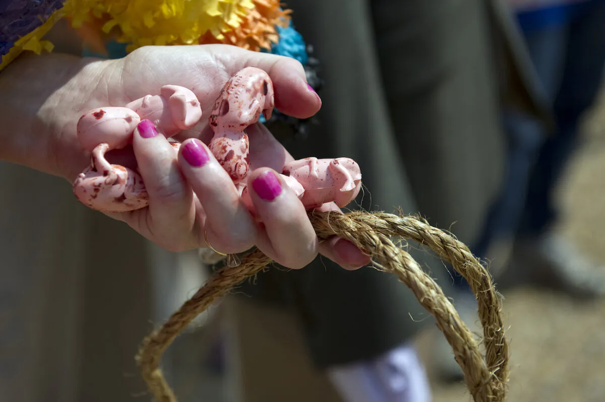 A pro-life activist holds plastic unborn babies during a protest on Capitol Hill in Washington, on July, 29, 2010. (Jim Watson/AFP via Getty Images)