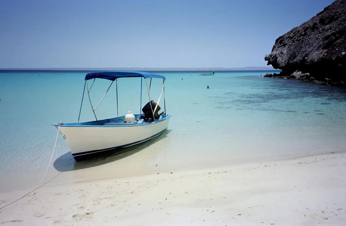 On the beach in La Paz Mexico. (Richard Gunion/Dreamstime/TNS)