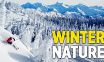 Winter Nature Scenes | Simple Happiness Episode 5