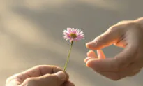Family Finances: A Gift That Keeps on Giving