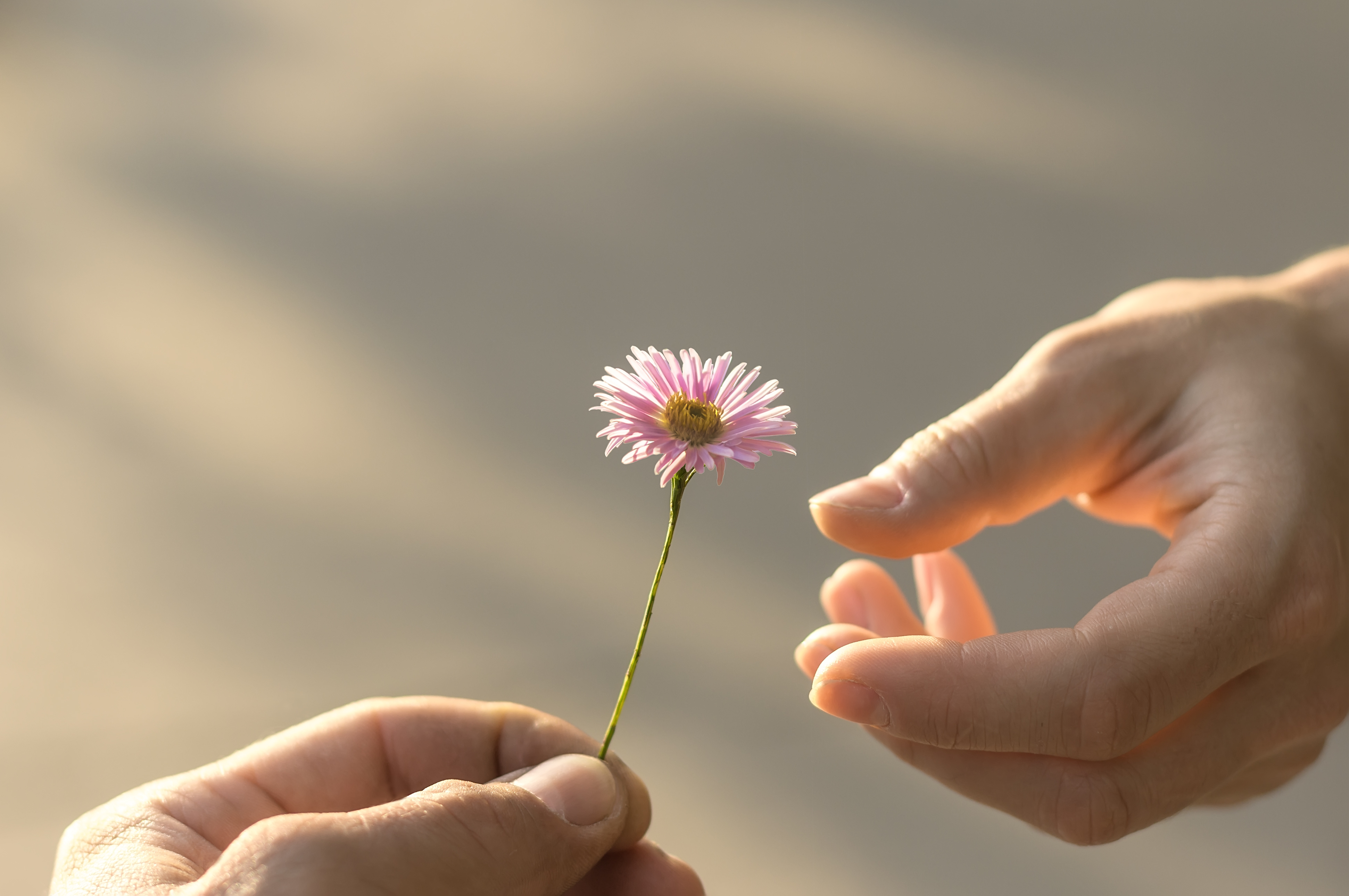 Family Finances: A Gift That Keeps on Giving - Vimarsana News