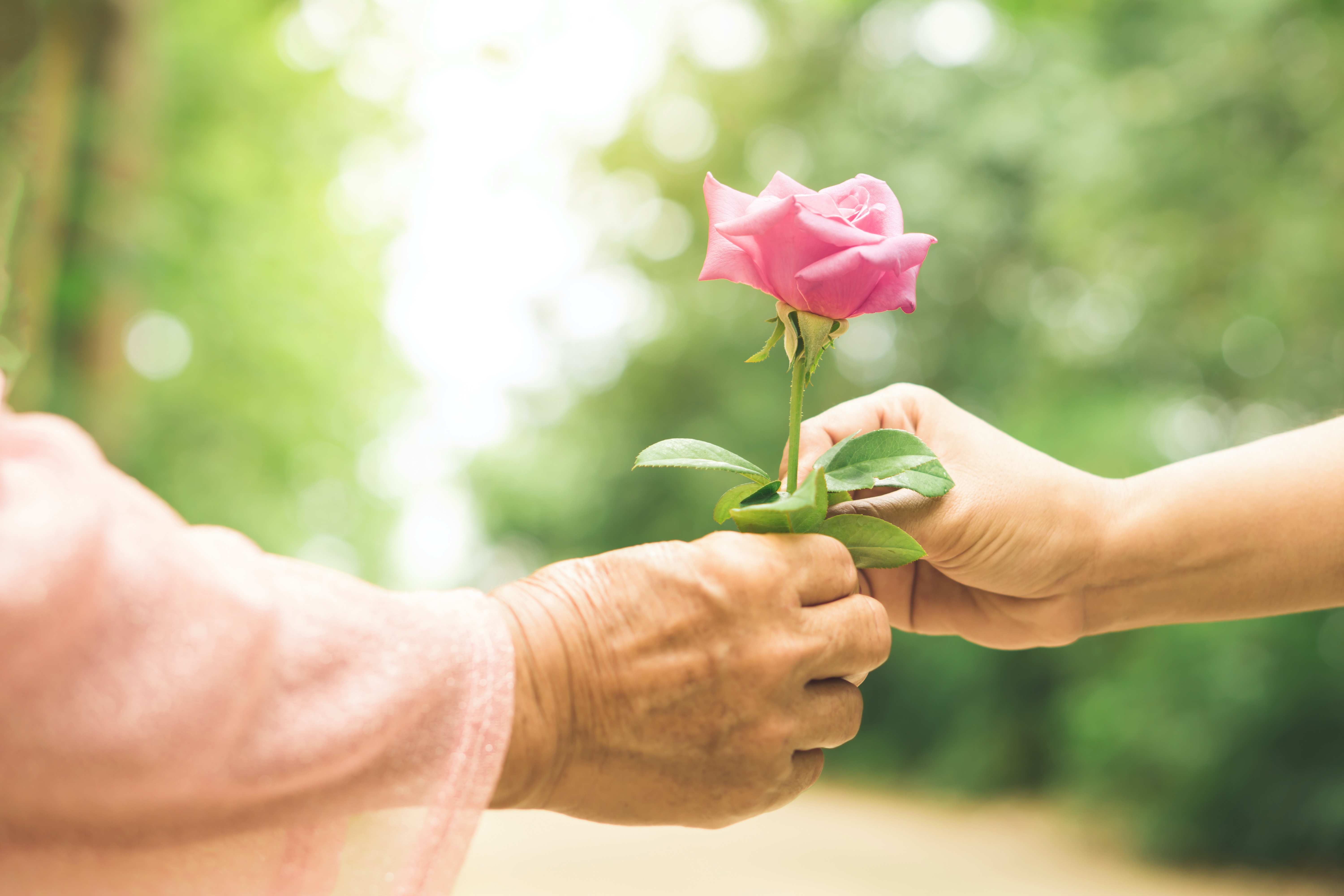 Give this flower. Руки матери с цветами. Передай добро картинки. Giving Flowers. Технология Living Flowers.