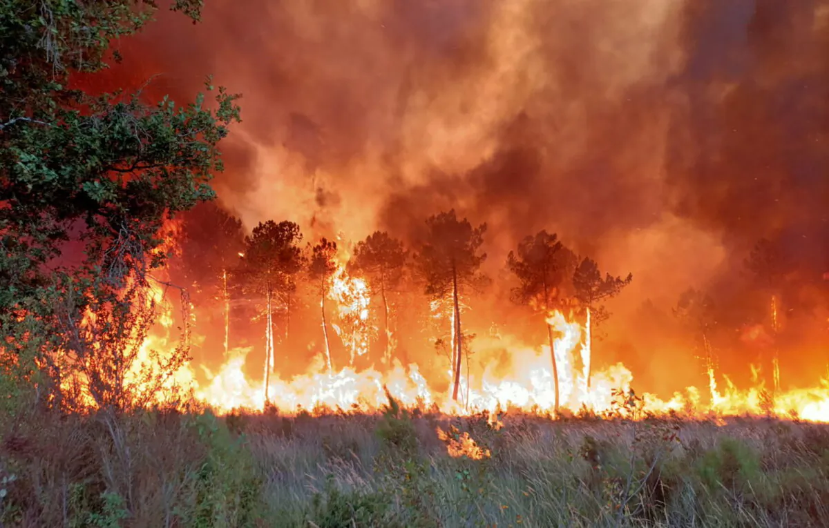 A wildfire near Landiras, southwestern France, on July 14, 2022. (SDIS 33 via AP)