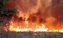 Wildfire Rages in Bordeaux; Fire Pilot Killed in Portugal