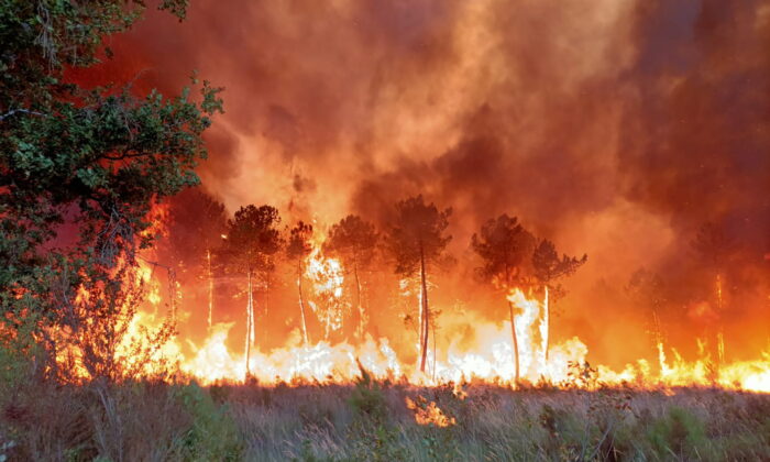 A wildfire near Landiras, southwestern France, on July 14, 2022. (SDIS 33 via AP)