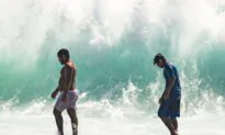Hawaii Waves Swamp Homes, Weddings During ‘Historic’ Swell