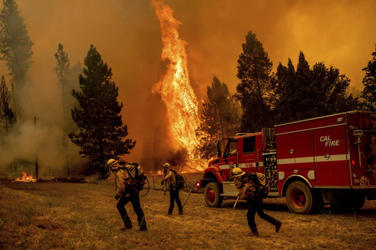 Firefighters work to keep the Oak Fire from reaching a home in the Jerseydale community of Mariposa County, Calif., on July 23, 2022. (Noah Berger/AP Photo)