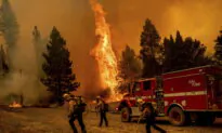 California Forest Fire Burns Out of Control Near Yosemite