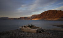 Body Near Lake Mead Swimming Site 3rd to Surface Since May