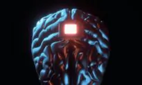 Elon Musk’s Brain-Chip Company Neuralink Gets Overtaken in US by Australian Startup