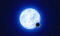 Scientists Find an Exotic Black Hole Deemed a ‘Needle in a Haystack’