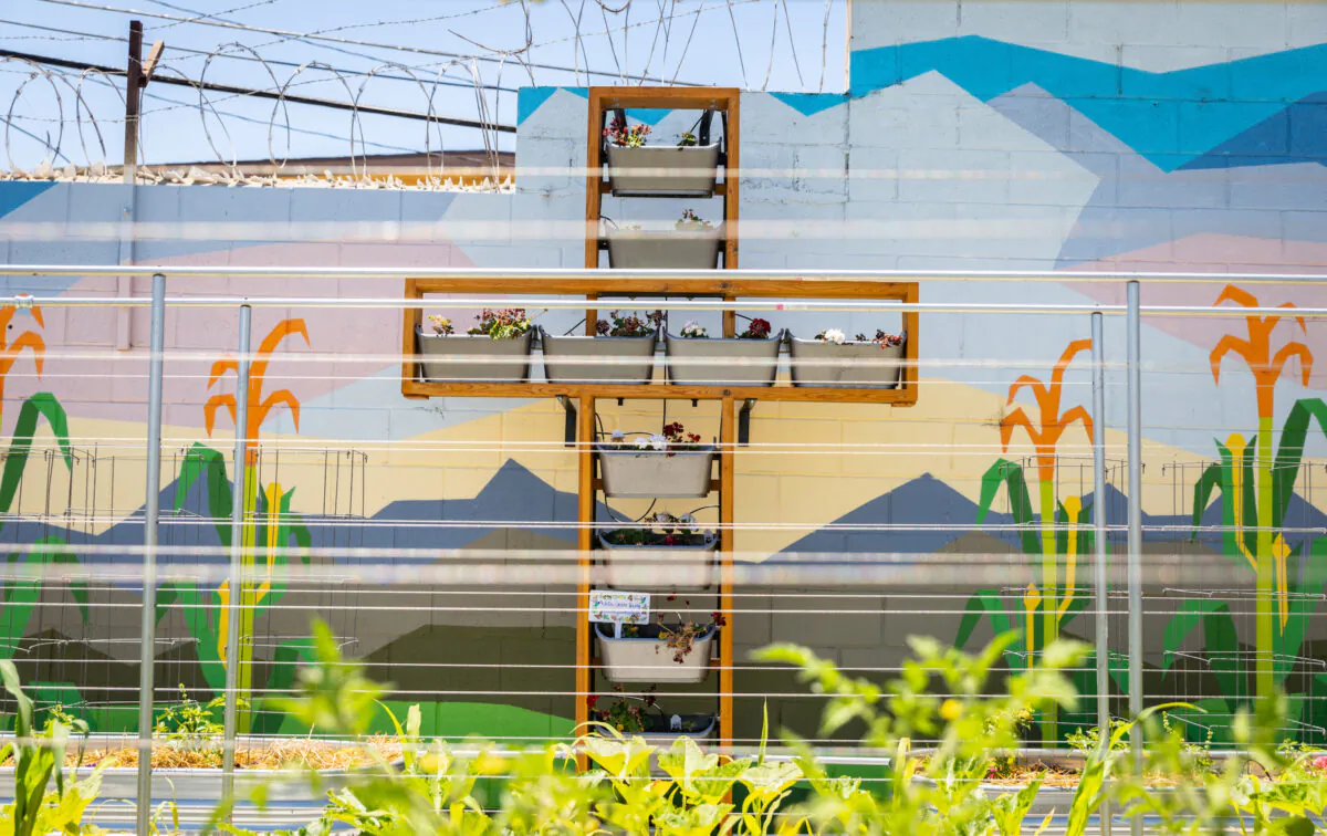 A standing garden in the shape of a cross sits on the outer wall at the Garden of Hope, located behind Catholic Charities of Orange County in Santa Ana, Calif., on July 7, 2022. (John Fredricks/The Epoch Times)