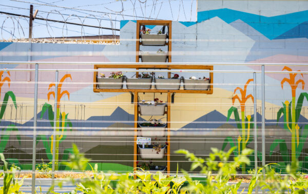 Wisconsin Supreme Court Backs Catholic Charities in Rights Battle