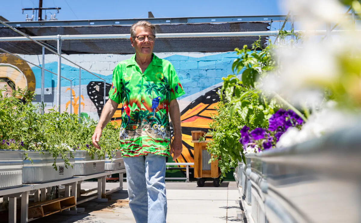 Alan Smith walks down a row of plants at the Garden of Hope, located behind the Catholic Charities of Orange County in Santa Ana, Calif., on July 7, 2022. (John Fredricks/The Epoch Times)