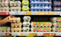 Unscrambling the Terms and Labels on Egg Cartons