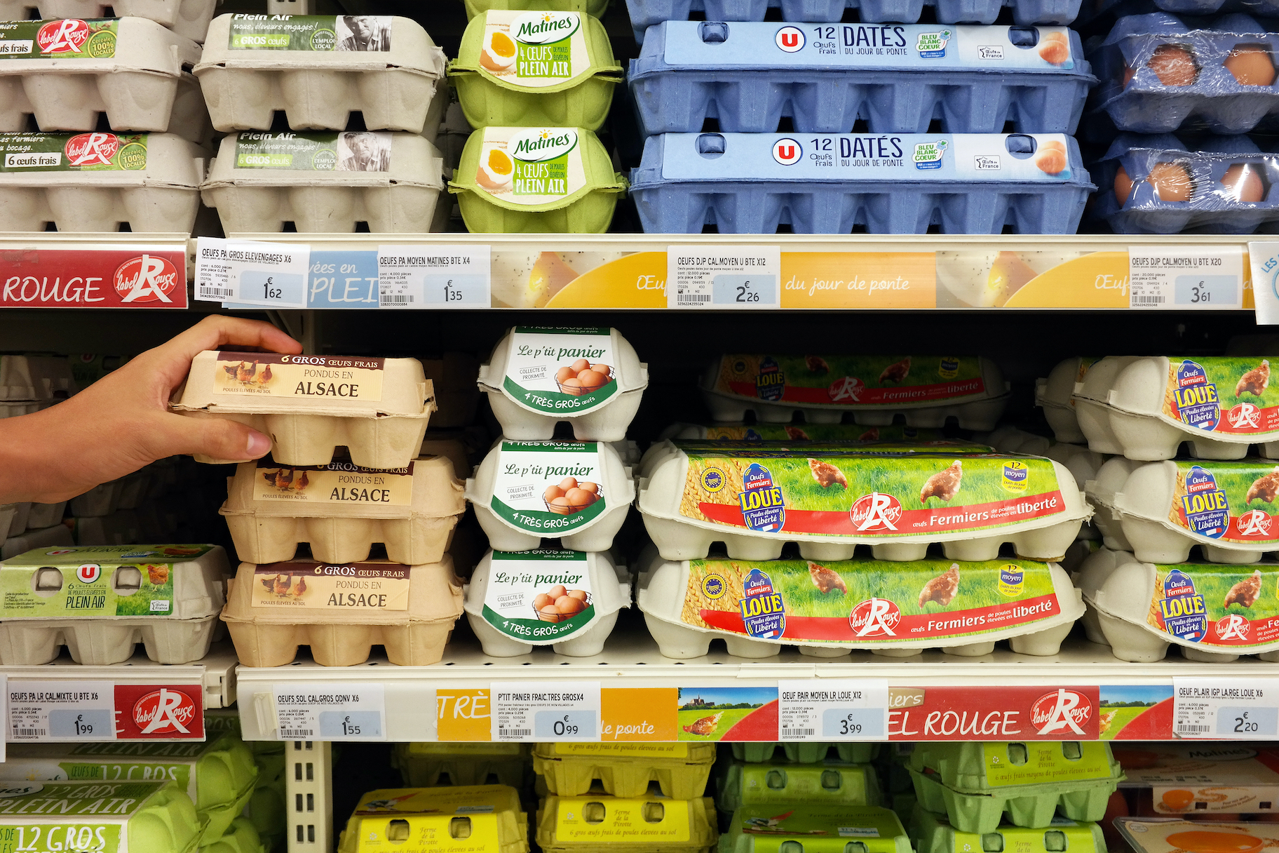 Unscrambling the Terms and Labels on Egg Cartons - Vimarsana News