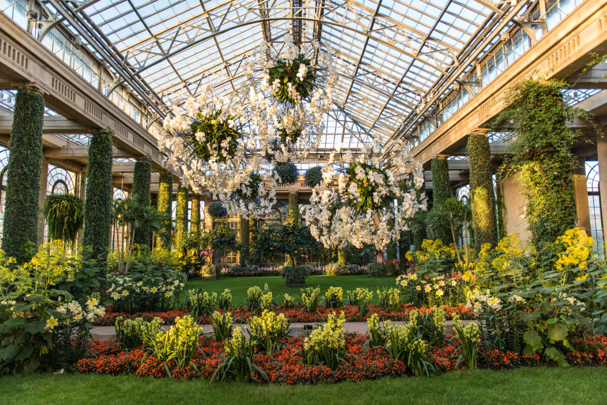 Longwood Gardens in Wilmington, Delaware, created by the du Pont family, is one of the premier botanical destinations in the United States. (Photo courtesy of Harold Hank.)
