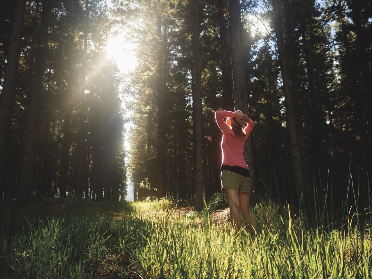Becoming 'Body Aware': Bridging the Gap Between Mind and Body - Vimarsana News