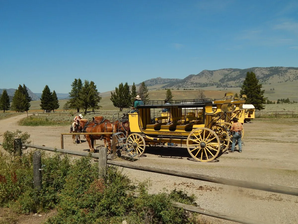 A horse- drawn stagecoach within Yellowstone National Park offers leisurely transportation. (Josie Weiss/Unsplash)