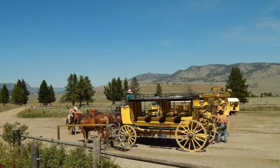 Relive History Through This Five-Day Stagecoach Tour of Yellowstone’s Iconic Hotels and Geological Features
