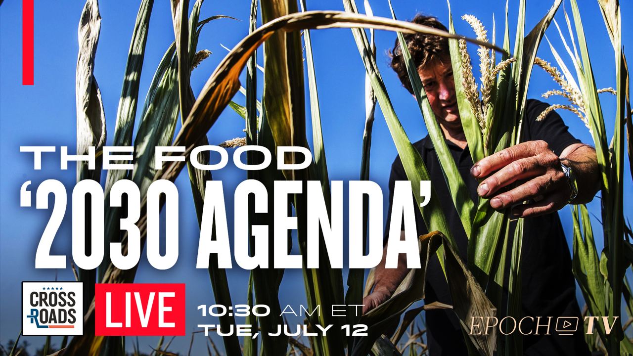 LIVE 10:30 AM ET: Food Restrictions Tied to UN Agenda 2030; Marburg Virus and COVID-19 Spark Government Action - Vimarsana News