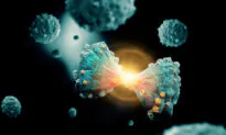 The Food Cure for Cancer