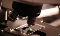 You’re a Scientist? So What?